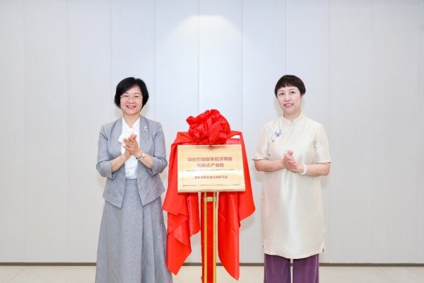 维嘉优配 打破民企出海传统服务模式，这个海外园区服务站设进了浦东