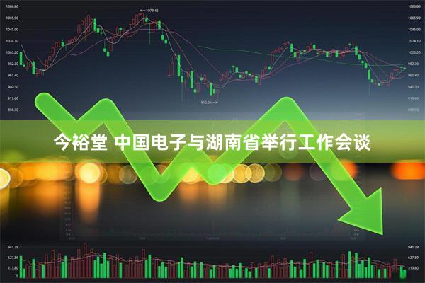 今裕堂 中国电子与湖南省举行工作会谈