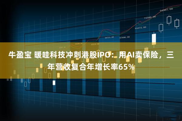 牛盈宝 暖哇科技冲刺港股IPO：用AI卖保险，三年营收复合年增长率65%