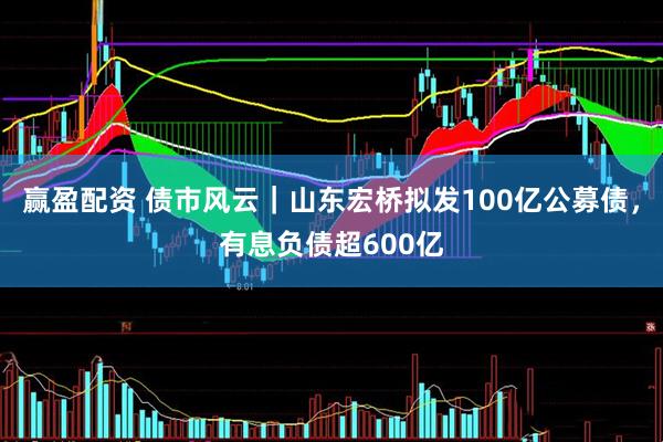 赢盈配资 债市风云｜山东宏桥拟发100亿公募债，有息负债超600亿