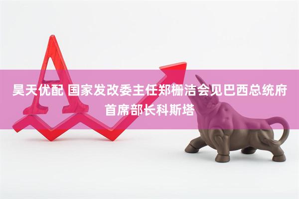 昊天优配 国家发改委主任郑栅洁会见巴西总统府首席部长科斯塔