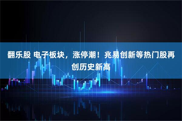 翻乐股 电子板块,涨停潮!兆易创新等热门股再创历史新高